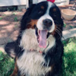 Meet your Posher, Gage